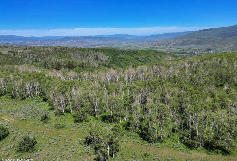 8-web-or-mls-2980-n-wolf-creek-ranch-rd-