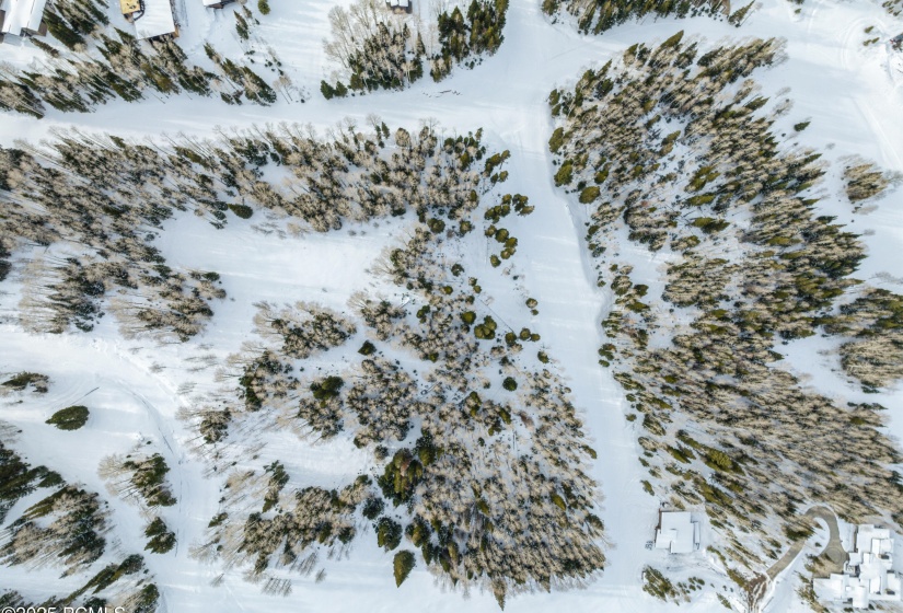 Lot 1 and 2 Overhead
