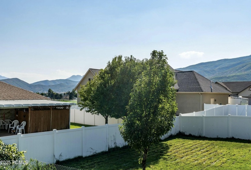 Side Yard