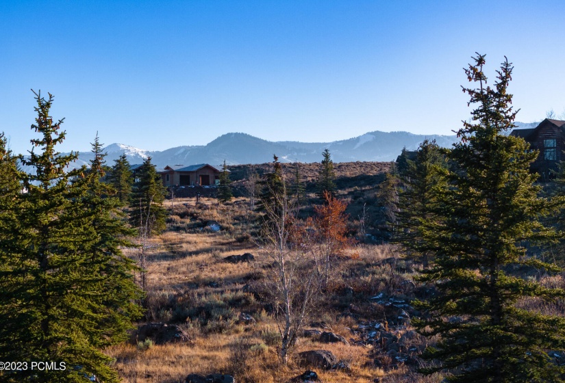 Private Homesite With Natural Stream  Po