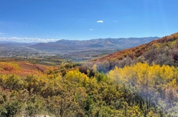1369 Lower Cove Road, Park City, Utah 84098, ,Land,For Sale,Lower Cove,12501798