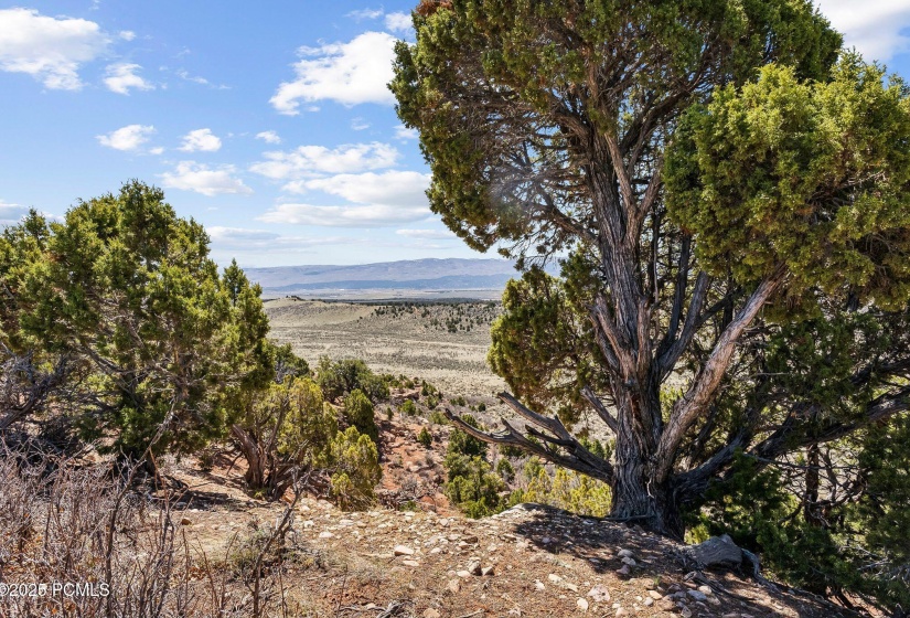 46997 Thunder Ridge, Fruitland_HDR059