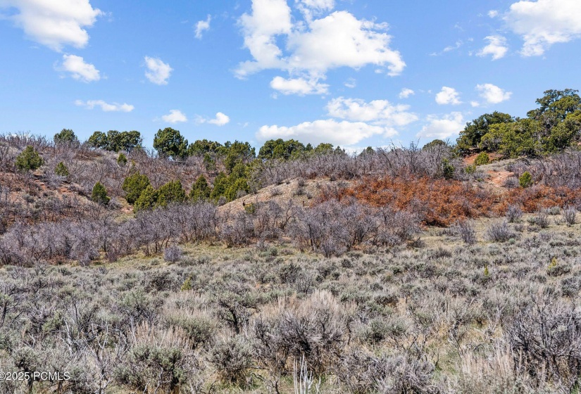 46997 Thunder Ridge, Fruitland_HDR066