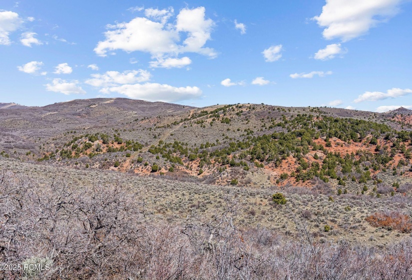 46997 Thunder Ridge, Fruitland_HDR055
