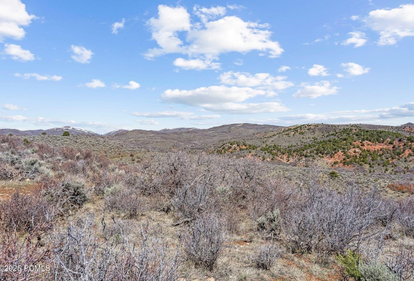 46997 Thunder Ridge, Fruitland_HDR054
