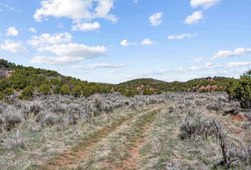 46997 Thunder Ridge, Fruitland_HDR067