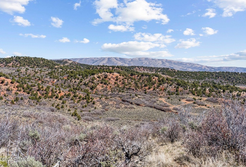 46997 Thunder Ridge, Fruitland_HDR053