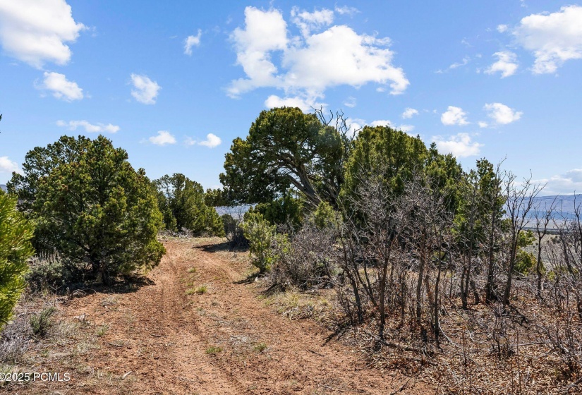46997 Thunder Ridge, Fruitland_HDR060