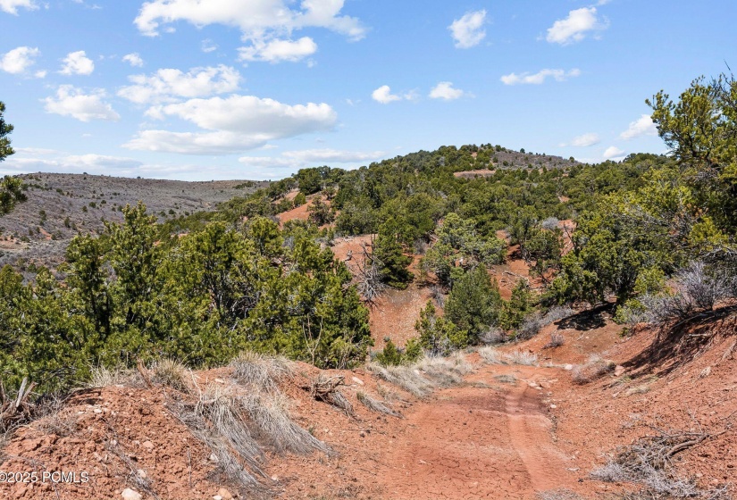 46997 Thunder Ridge, Fruitland_HDR071