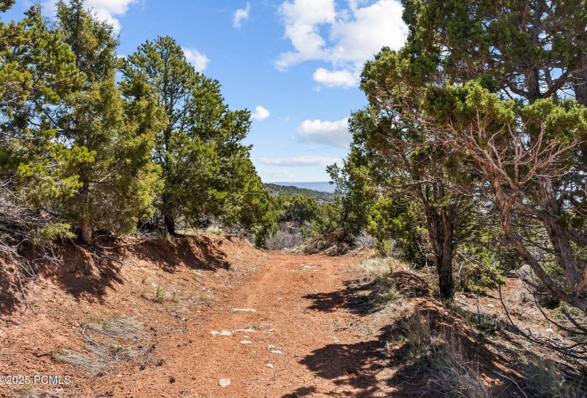 46997 Thunder Ridge, Fruitland_HDR072