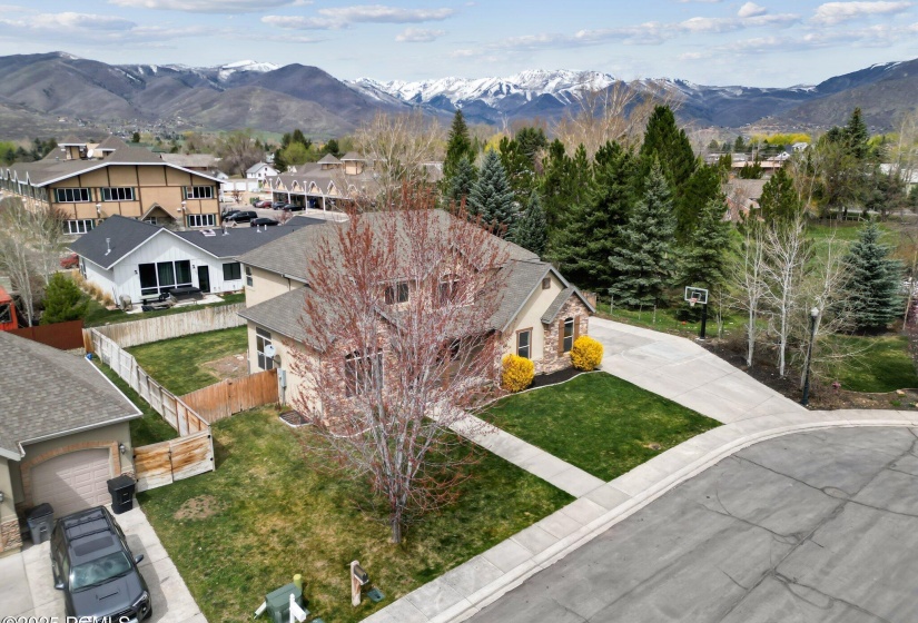 39-web-or-mls-DJI_0791