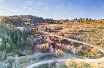 2412 Bull Moose Drive, Coalville, Utah 84017, ,Land,For Sale,Bull Moose,12500368