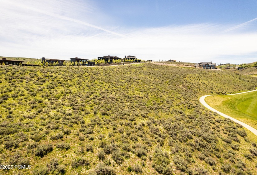 014_09-7429_golden_bear_loop09_486