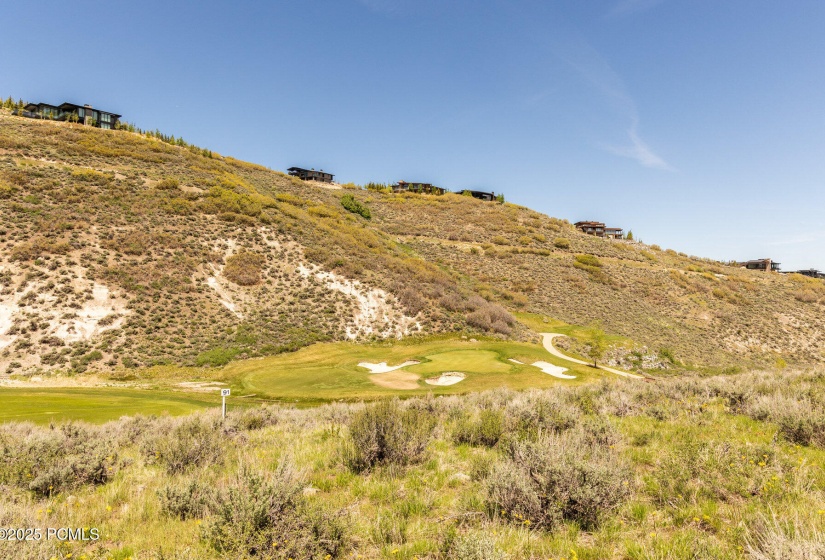 018_15-7429_golden_bear_loop15_376