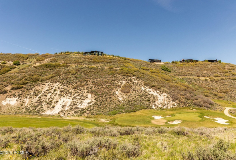 007_14-7429_golden_bear_loop14_584