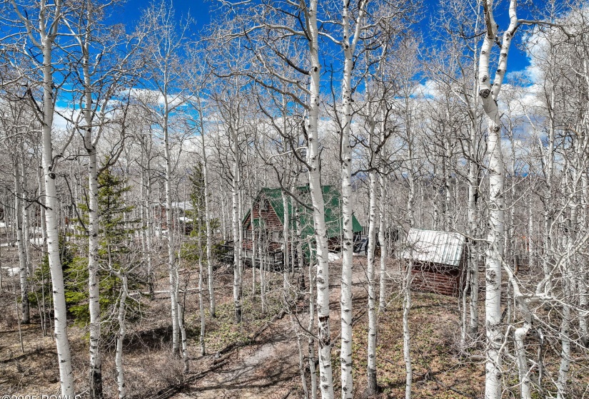 26-web-or-mls-DJI_0018