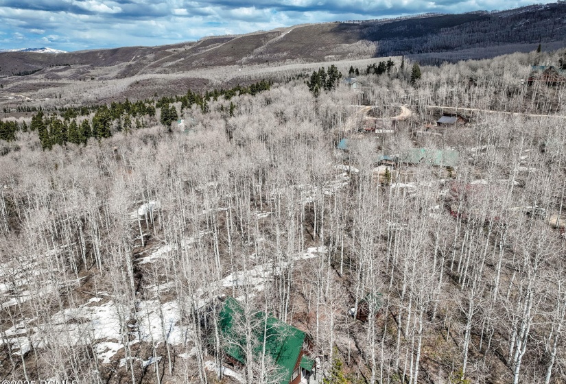 29-web-or-mls-DJI_0020