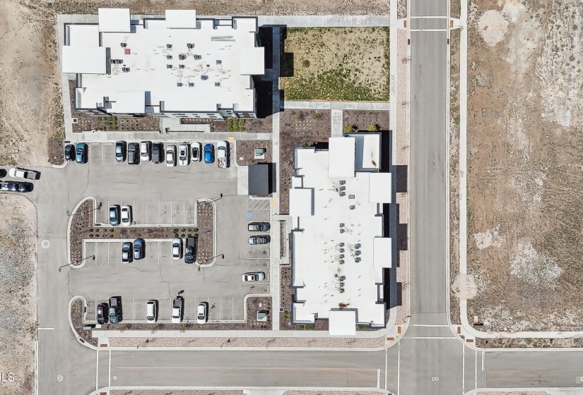 25-print-Serviceberry Dr a205-2904-025