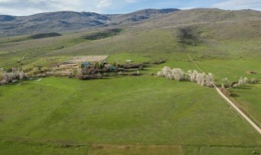 IMG_6711 (1)