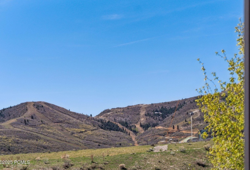 9855 Vista Dr, Heber City_HDR025