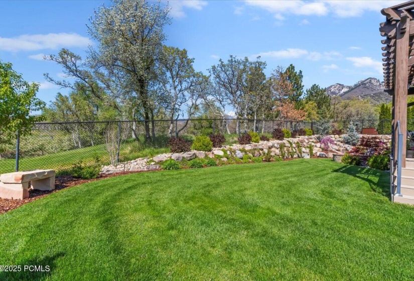 06-Backyard
