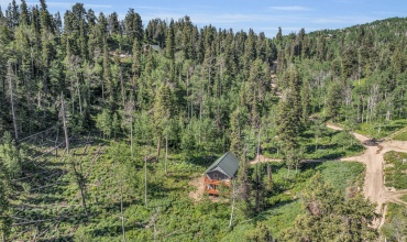 3-web-or-mls-1624-w-pine-cone-cir