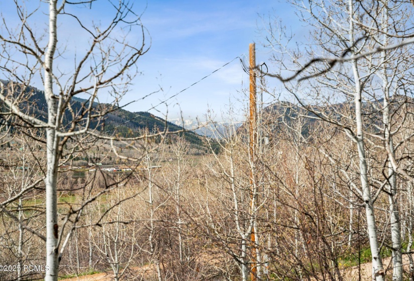 5389 fremont trl, kamas_HDR027