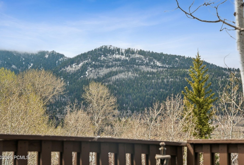 5389 fremont trl, kamas_HDR028