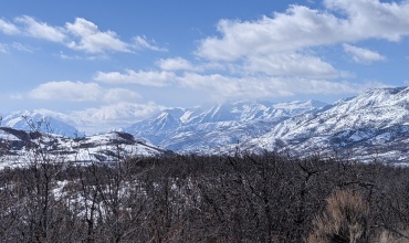 PXL_20210221_192621549
