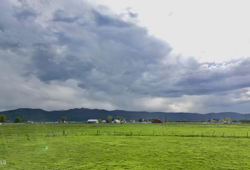 DJI_0103