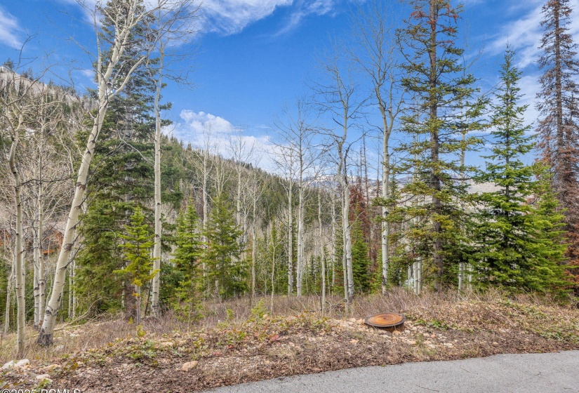 9-web-or-mls-8550-n-uinta-dr