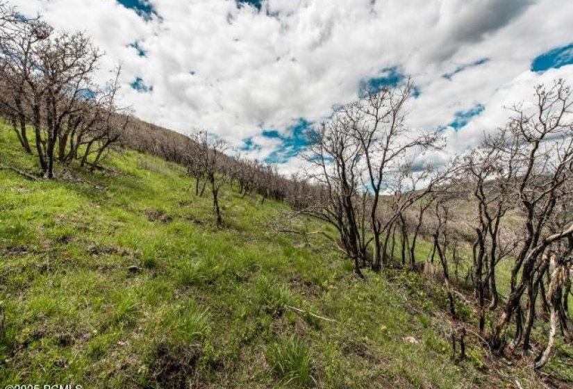 Lot-View_640x480_2286340