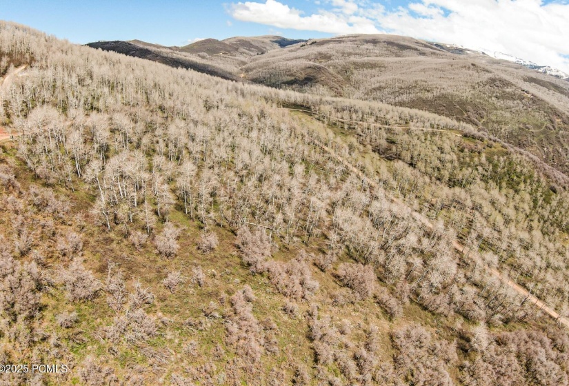 14_Canyon-Rim-Ranches-Rd_1800x1200_42260