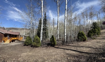 View of cabin from circular driveway