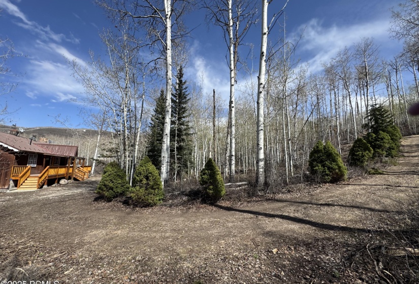 View of cabin from circular driveway