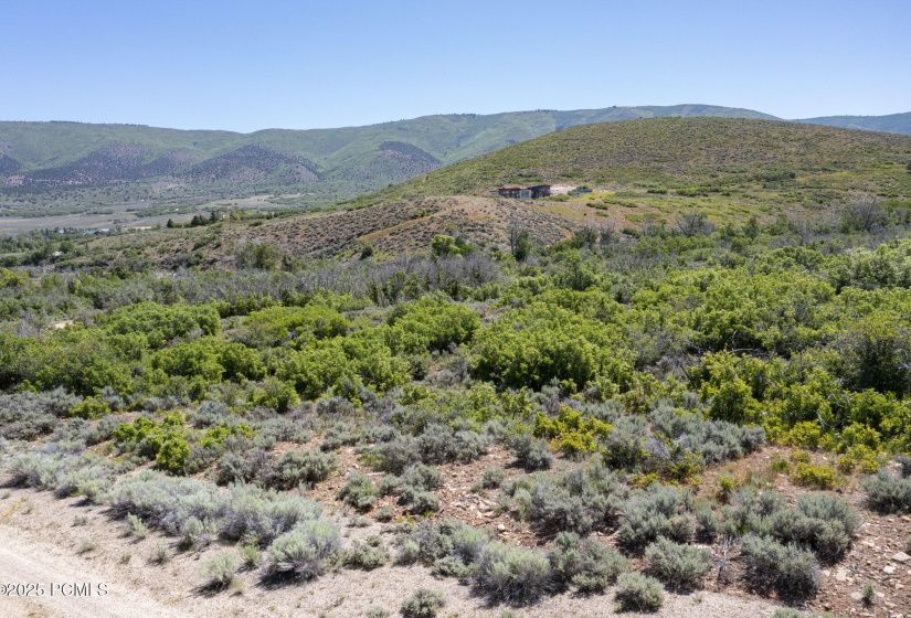 dji_0960_230
