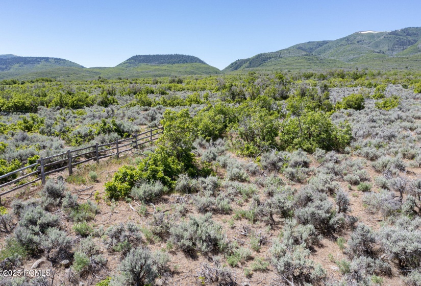 dji_0989_988
