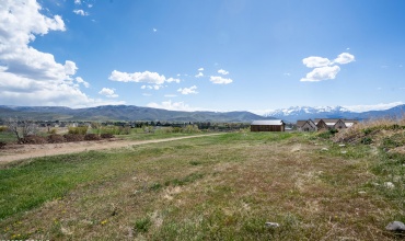 Timp