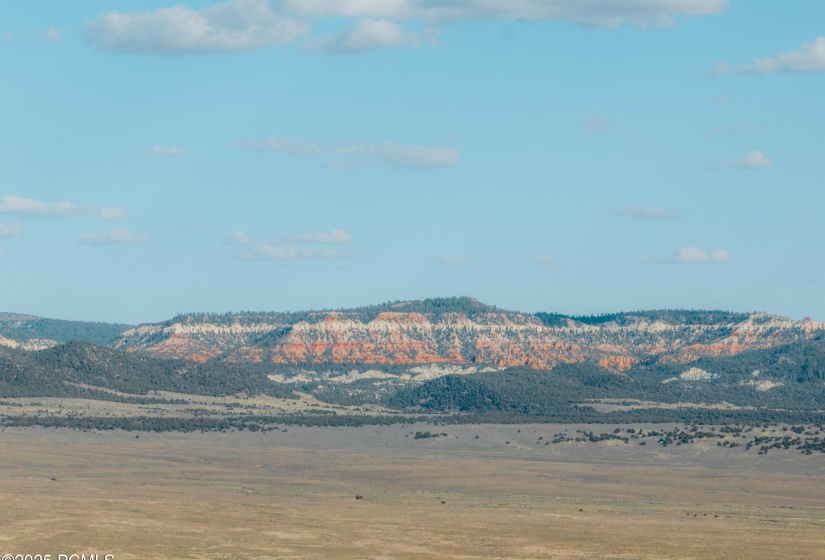 20250510-DJI_0103