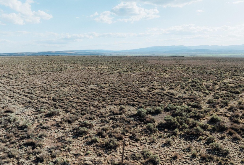 20250510-DJI_0113