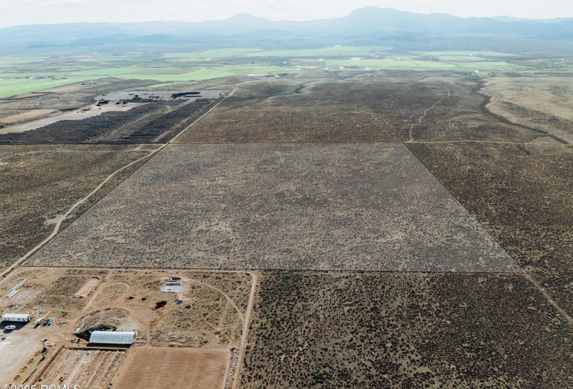 20250510-DJI_0114