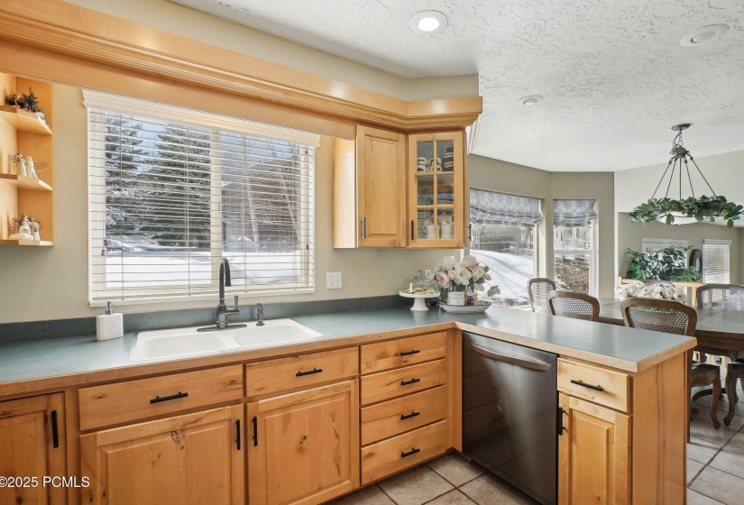 11-web-or-mls-Springshire Dr-009