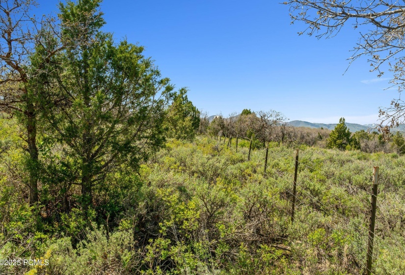 7487 SR-32, Heber City_025