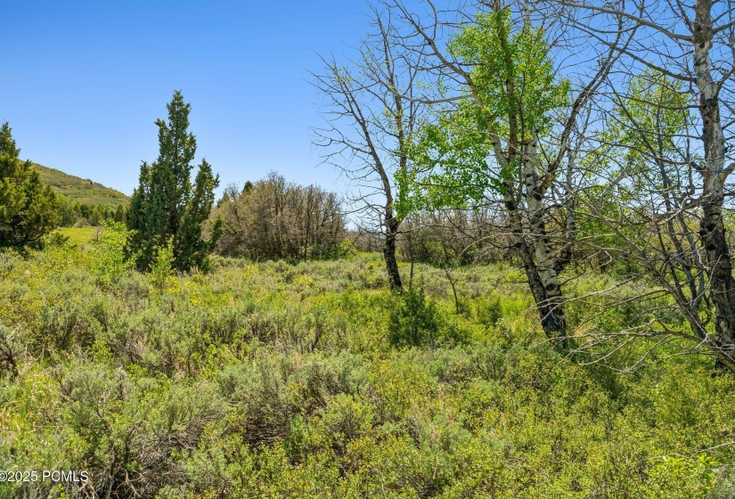 7487 SR-32, Heber City_026