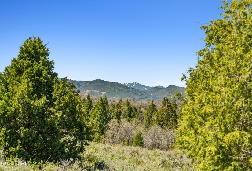 7487 SR-32, Heber City_019