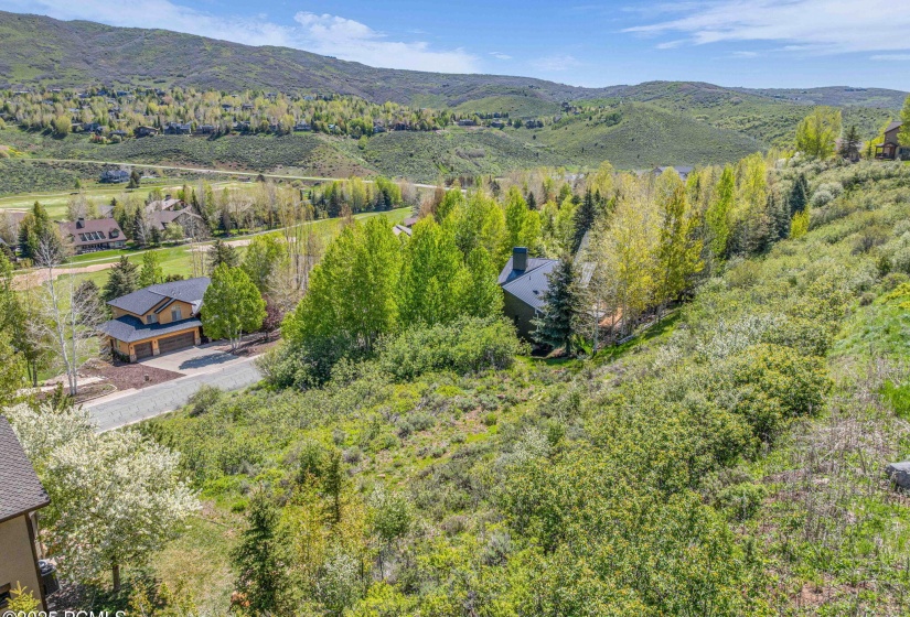 5-web-or-mls-3161-homestead-rd-344
