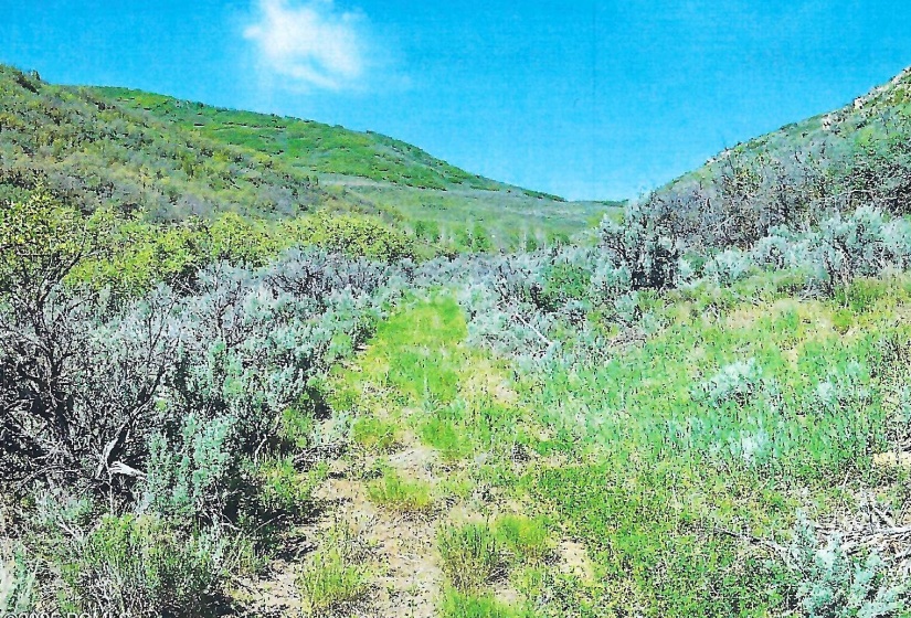 4 Looking West scan 6a