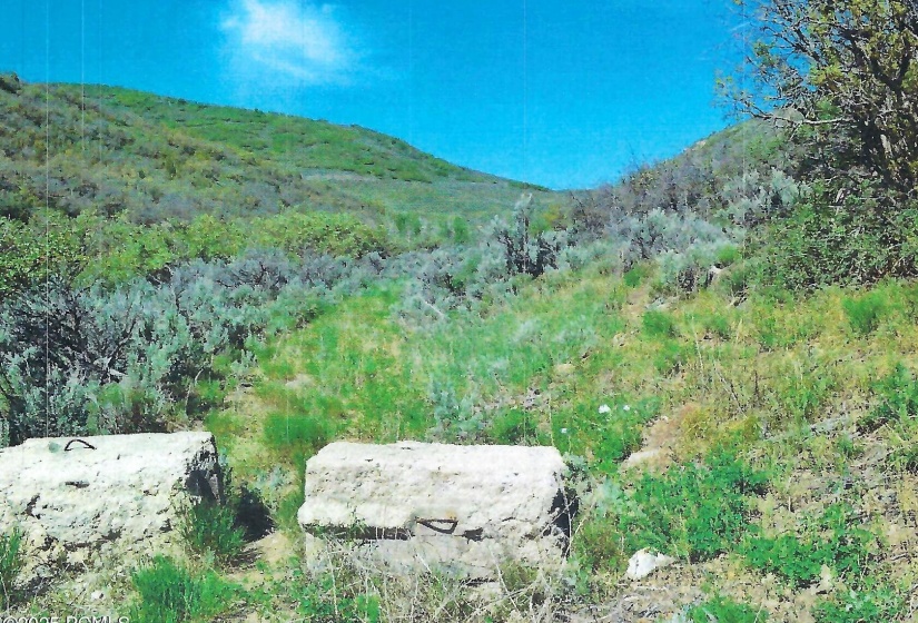 4 Looking West scan 7a