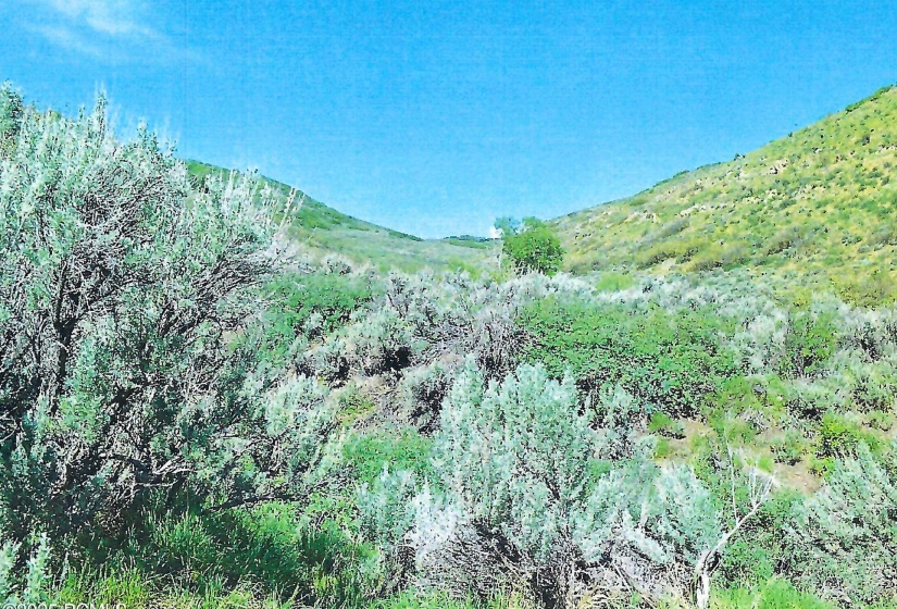 scan 9a