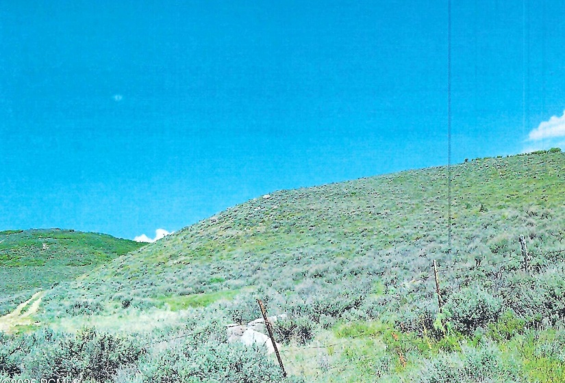 scan 11a